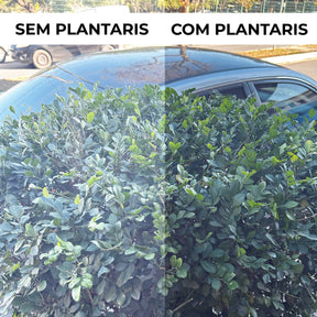 ÓCULOS DE SOL PLANTARIS PRETO RÉPLICA PREMIUM